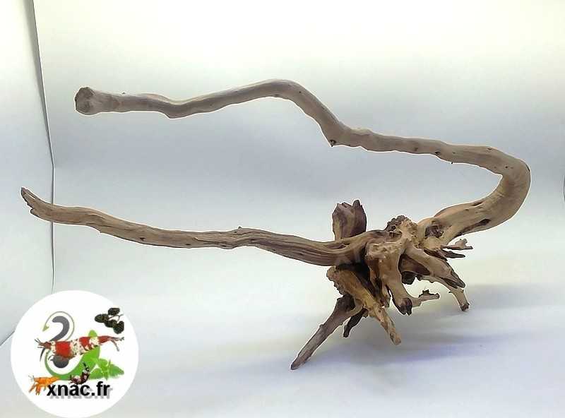 Branches ou racines prises dans la nature - L'Aquaramiaud