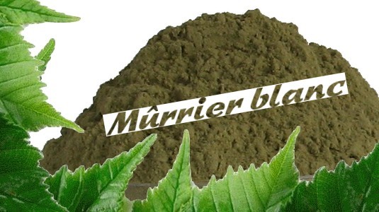 Protection De Carter Moteur En Acier Pour Citroën C4 Aircross (2012-2017) - Plaque De Sous-bassin Noir, 2mm D'épaisseur, Garantie 2 Ans